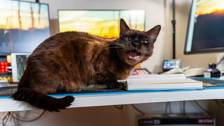 Morning Pages | 5 February 2024