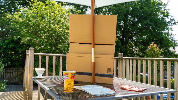 Morning Pages | 1 June 2024