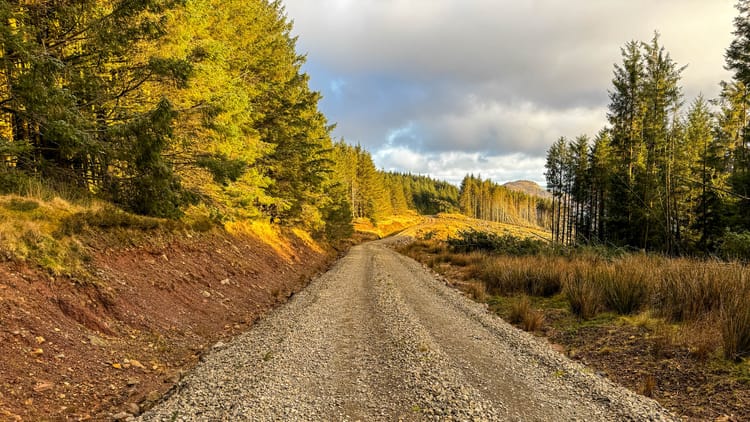 Morning Pages | 13 January 2026