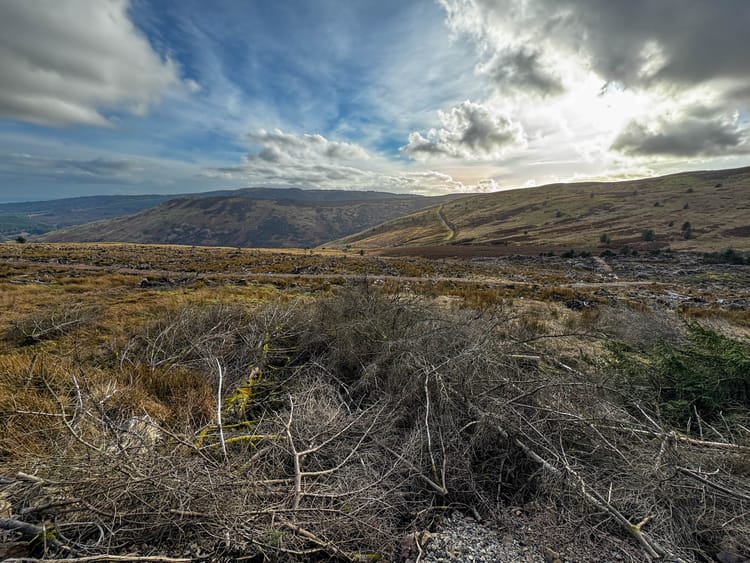 Morning Pages | 28 February 2026