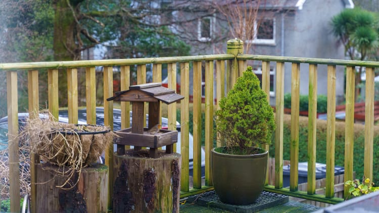 Morning Pages | 12 February 2026