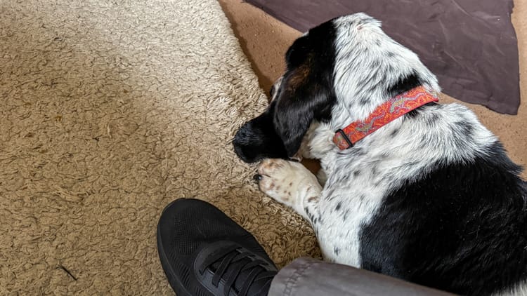 Morning Pages | 4 April 2026