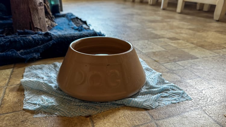 Morning Pages | 23 April 2026