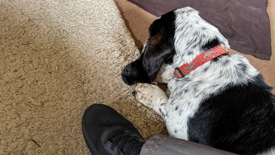 Morning Pages | 4 April 2026