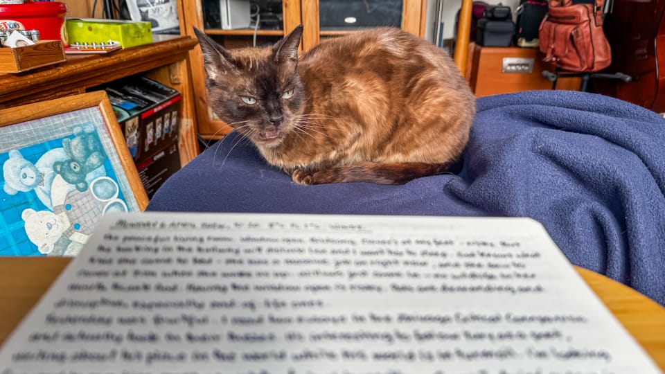 Morning Pages | 6 April 2026