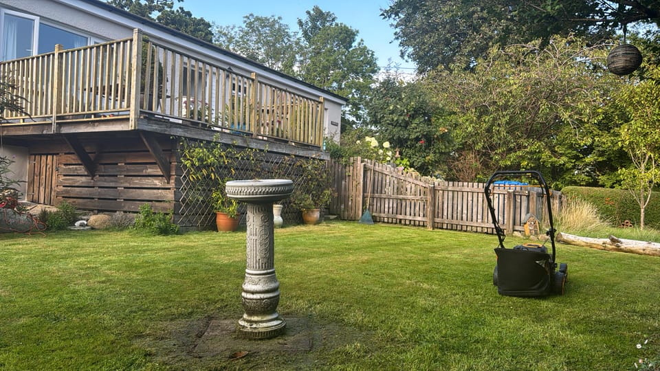 Morning Pages | 25 August 2026